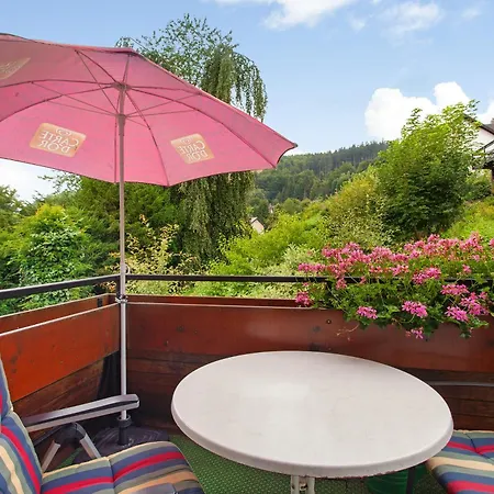 Haus Schoenblick Διαμέρισμα Willingen (Upland)