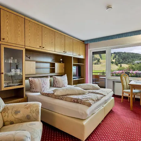 Lägenhet Haus Schoenblick Willingen (Upland)