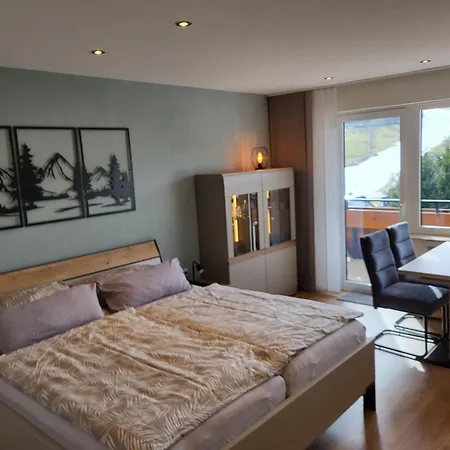 Haus Schoenblick 公寓 维林根