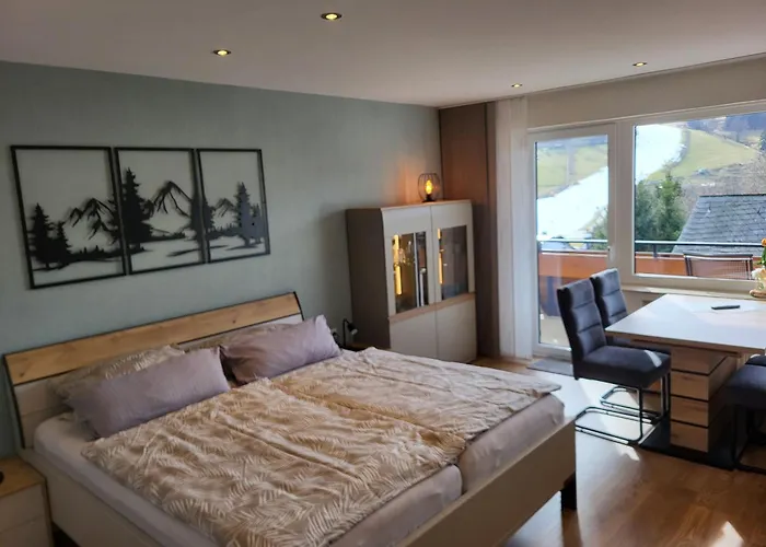 Haus Schoenblick 公寓 维林根